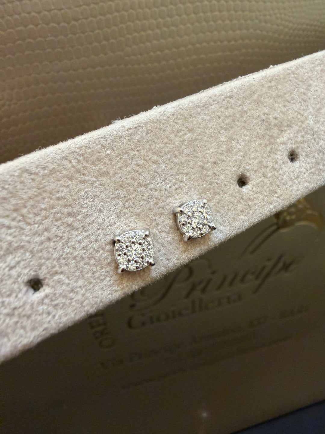 Orecchini argento luce